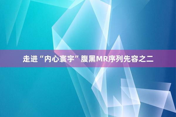 走进“内心寰宇”腹黑MR序列先容之二