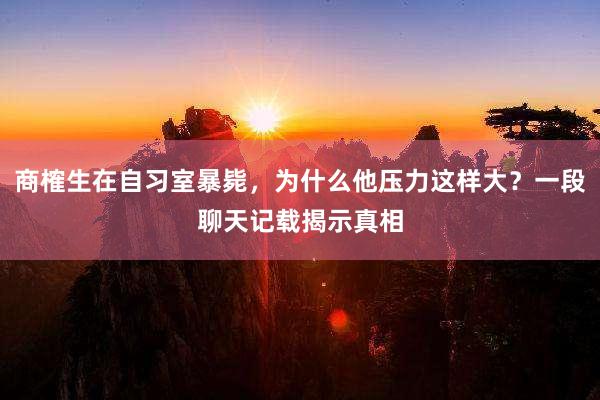 商榷生在自习室暴毙，为什么他压力这样大？一段聊天记载揭示真相