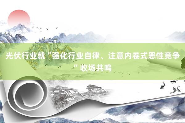 光伏行业就“强化行业自律、注意内卷式恶性竞争”收场共鸣