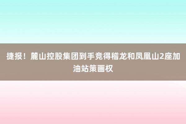 捷报！麓山控股集团到手竞得稽龙和凤凰山2座加油站策画权