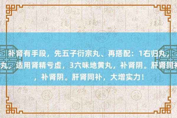 补肾有手段，先五子衍宗丸、再搭配：1右归丸，补肾阳,2归脾丸，适用肾精亏虚，3六味地黄丸，补肾阴。肝肾同补，大增实力！